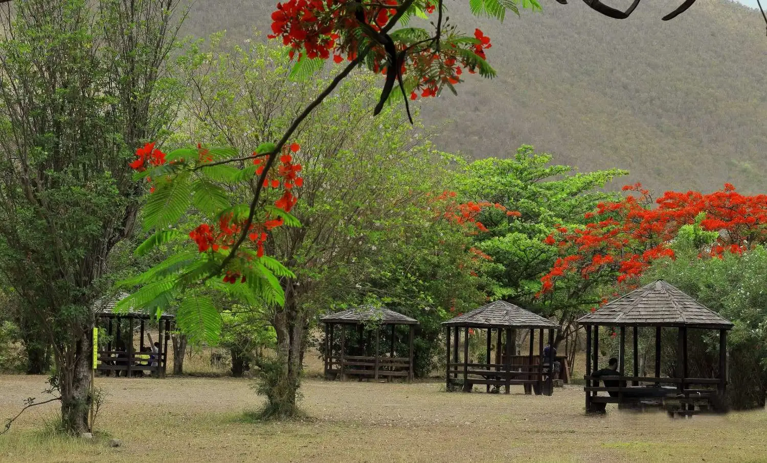flowers and gazebo in emilio wilson park