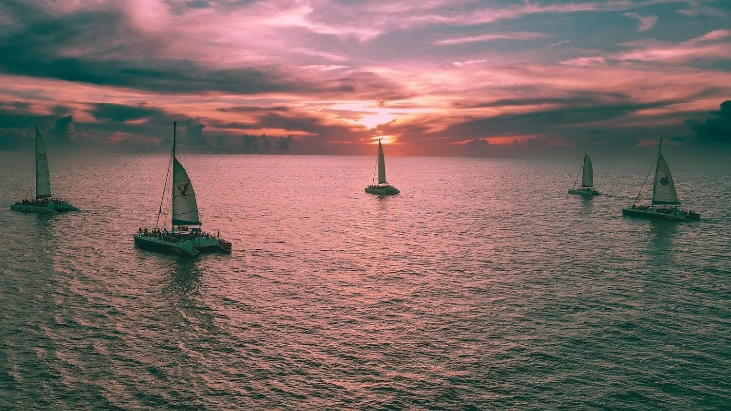 Sunset Sail Aquamania